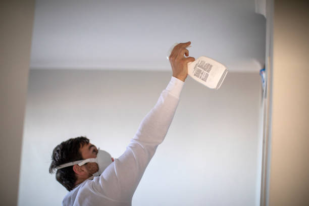 Excelsior Springs, MO Mold Remediation Company