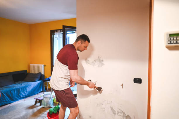 Professional Mold Remediation in Excelsior Springs, MO
